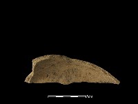 陶片藏品圖，第1張