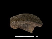 陶片藏品圖，第2張