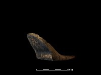 陶片藏品圖，第2張