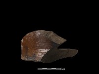 陶片藏品圖，第2張