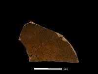 陶片藏品圖，第1張