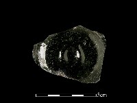 玻璃片藏品圖，第1張