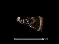 玻璃片藏品圖，第2張