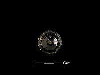 瓶蓋藏品圖，第1張