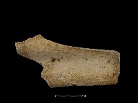 瓦片藏品圖，第2張