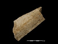 瓦片藏品圖，第2張