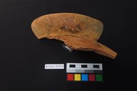 陶片藏品圖，第2張