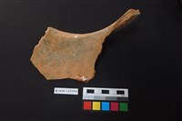 陶片藏品圖，第3張