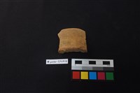 陶片藏品圖，第1張