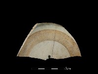 瓷碗藏品圖，第1張