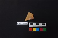 陶片藏品圖，第2張