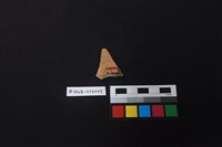 陶片藏品圖，第2張