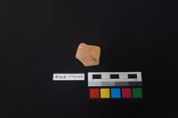 陶片藏品圖，第1張