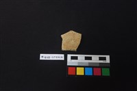 陶片藏品圖，第1張