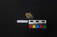 陶片藏品圖，第2張