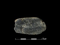 網墜藏品圖，第1張