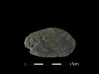 網墜藏品圖，第1張