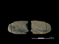 網墜藏品圖，第1張