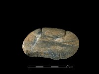 網墜藏品圖，第2張