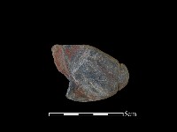 網墜藏品圖，第2張