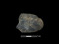 網墜藏品圖，第2張