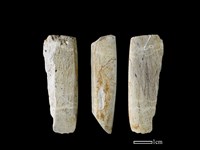 錛鑿形器藏品圖，第1張