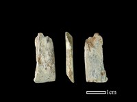 錛鑿形器藏品圖，第1張