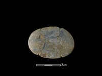 網墜藏品圖，第2張