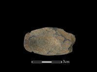 網墜藏品圖，第2張