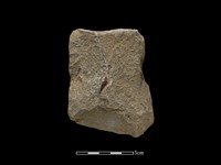 斧鋤形器藏品圖，第1張