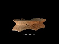 陶罐藏品圖，第2張