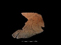 陶罐藏品圖，第2張