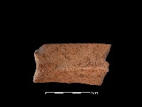 陶罐藏品圖，第2張