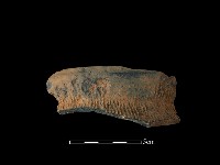 陶罐藏品圖，第2張