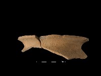 陶罐藏品圖，第1張