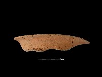 陶罐藏品圖，第2張