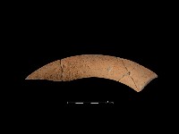 陶罐藏品圖，第1張