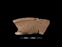 陶罐藏品圖，第2張