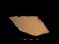 陶缽藏品圖，第2張