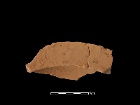 連杯形器藏品圖，第1張