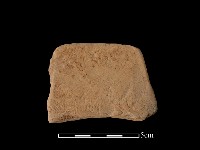 連杯形器藏品圖，第1張