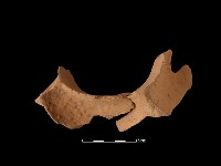 連杯形器藏品圖，第2張