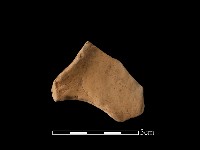 連杯形器藏品圖，第2張