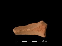 連杯形器藏品圖，第1張