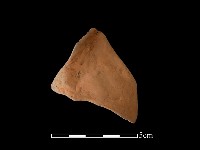 連杯形器藏品圖，第2張