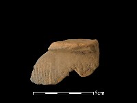 連杯形器藏品圖，第1張