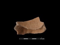 陶片藏品圖，第1張