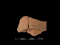 陶片藏品圖，第2張