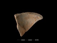 陶片藏品圖，第1張