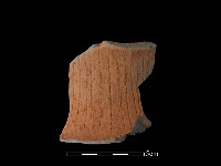 陶片藏品圖，第2張